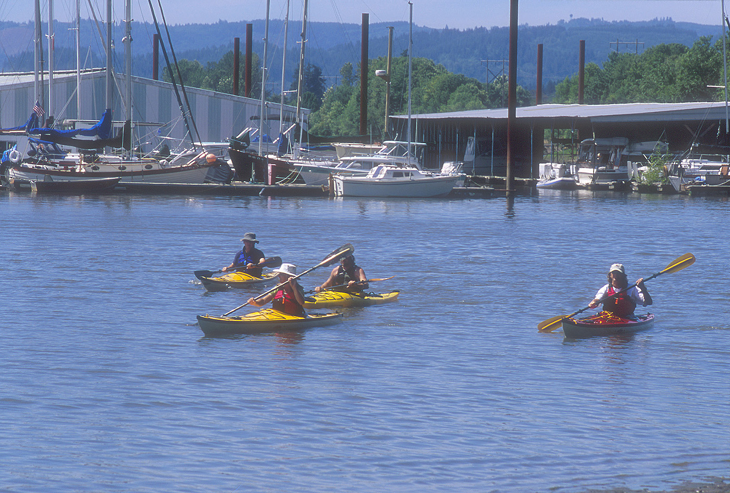 Kayaking in Scappoose Bay