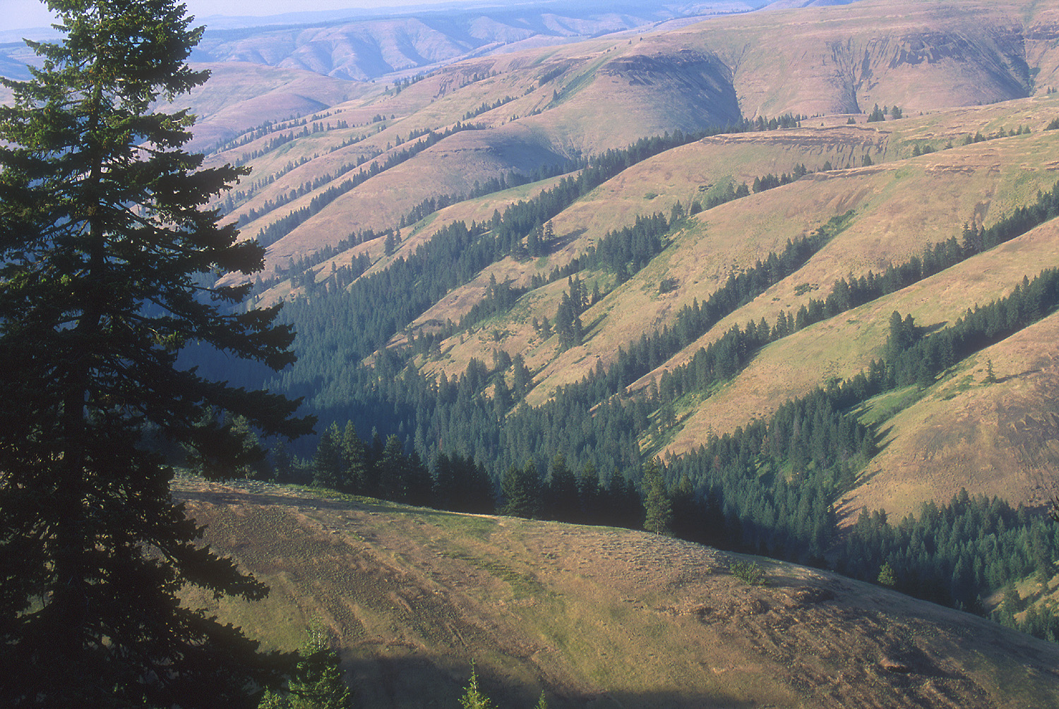 Umatilla Indian Reservation